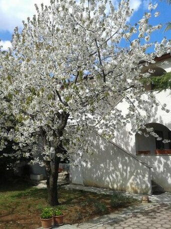 Apartments Porec Istria By Nina - Photo3