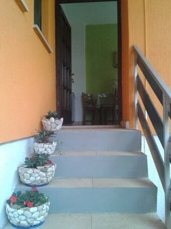 Guest House Zoranka - Photo3