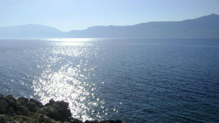 Apartman Bandic - Photo5