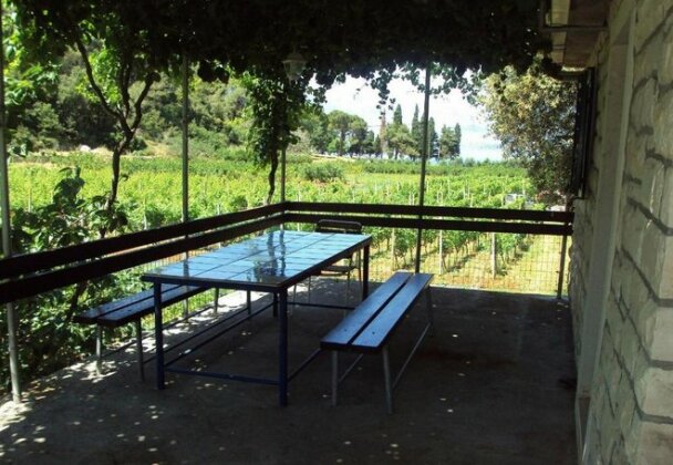 Robinson PVL - Photo2
