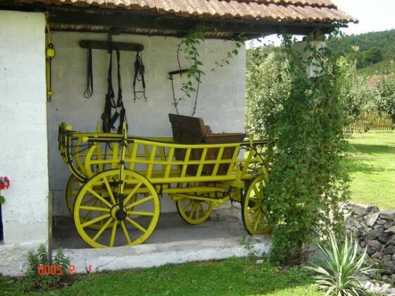 Country House Stara Kapela - Photo2
