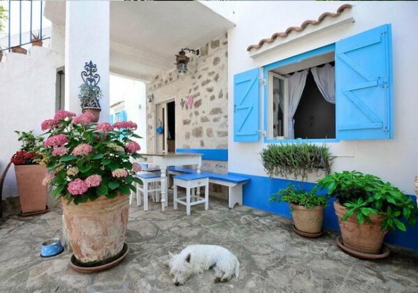 Dalmatian Stone House Preko - Photo2