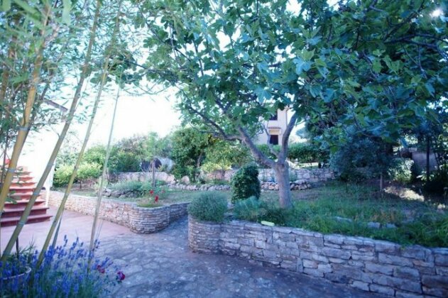 Apartments Pimpinella - Photo5