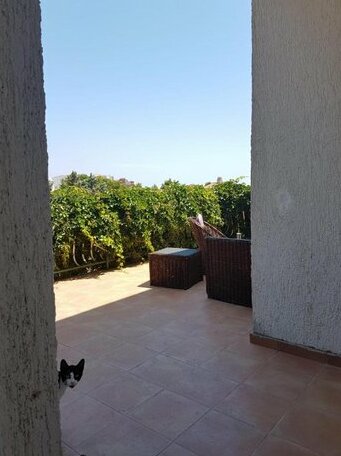 Apartmani Dekovic - Photo4