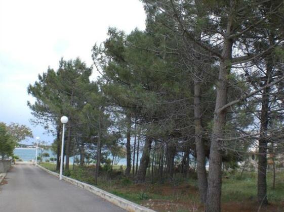 Apartments Dujmovic Privlaka - Photo2