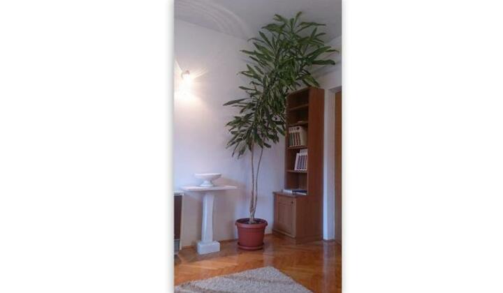 Apartment Olga Pucisca - Photo3