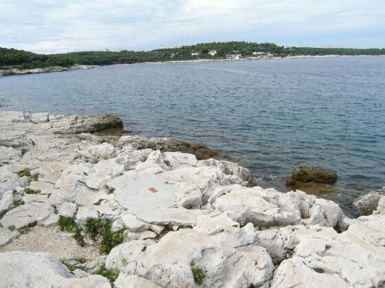 Apartment Darinka Pula - Photo3