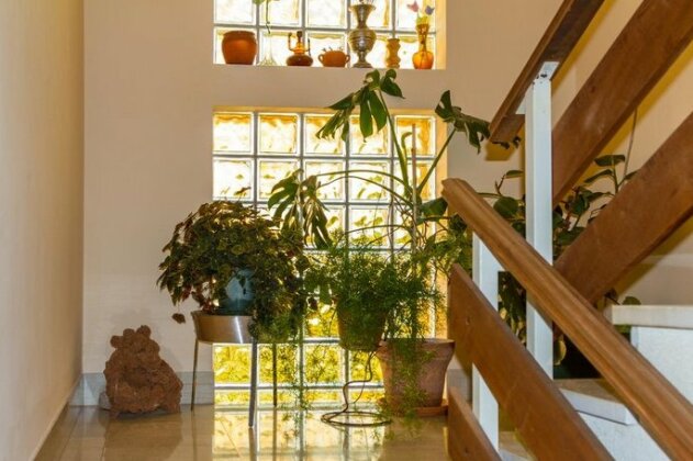 Apartments Villa Alba Pula - Photo3