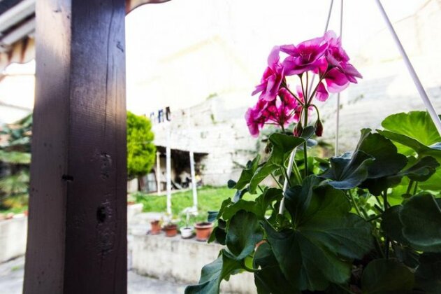 Guesthouse Natalija - Photo4