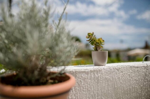 Apartman Jasmina Rab - Photo5