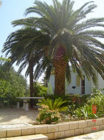 Apartmani Andrea - Photo5