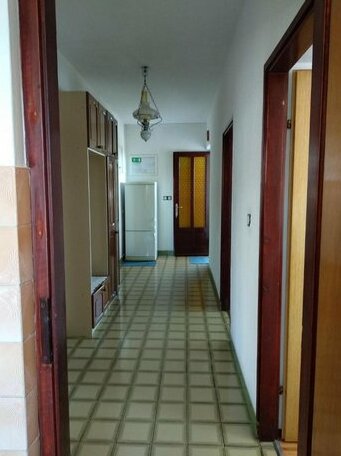 Apartment Kaja Rab - Photo5