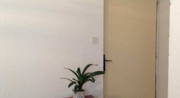 Apartments Babic - Photo2