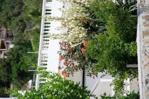 Apartments Ivana Rab - Photo4