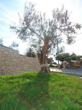 Exclusive Apartments Supetarska Draga - Photo3