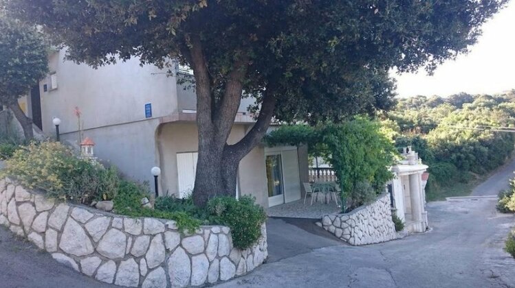 Guest House Violeta - Photo2