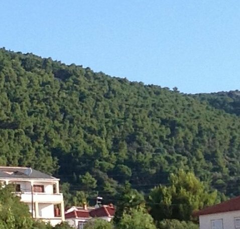 Villa Oleandri Rab - Photo3