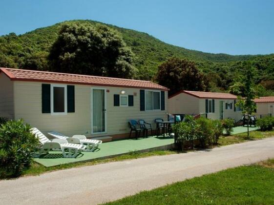 Camping Oliva - Photo2