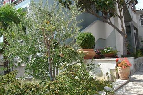 Villa Mare Rabac - Photo2
