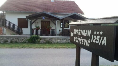 Apartment Bozicevic