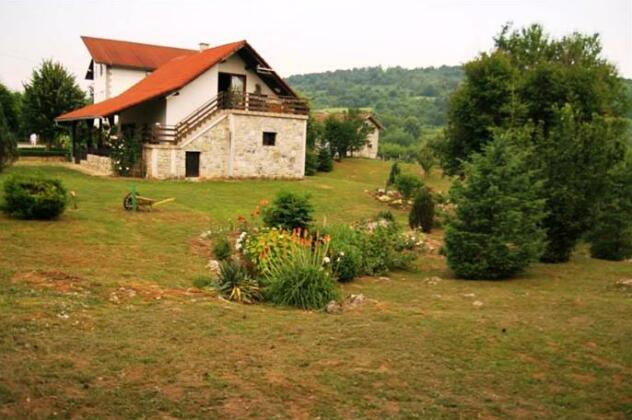  Photo 1