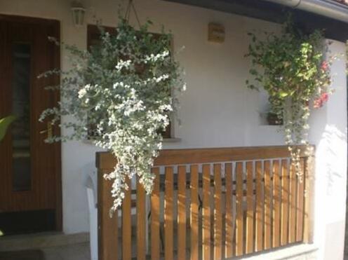 Guest House Family Dukic - Photo2