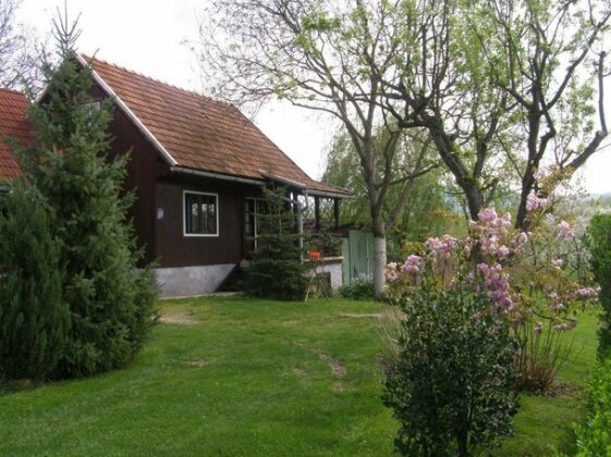 Guesthouse Ivanka Salopek - Photo3
