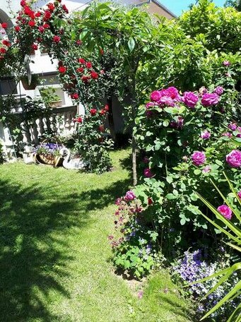Apartman Palma - Photo2