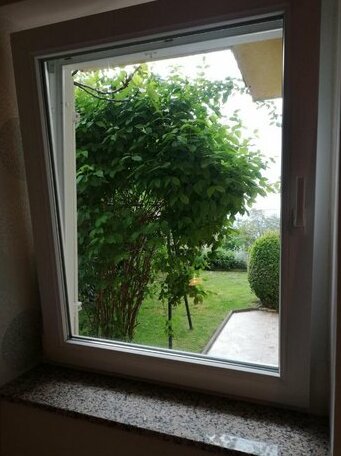 Aurelio Rijeka - Photo5