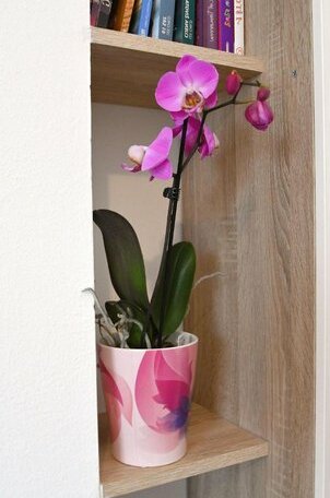 Studio apartman Kris - Photo4