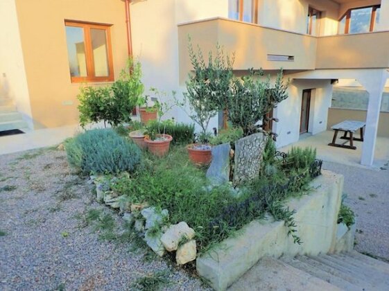 Apartman Dane Rovanjska - Photo3