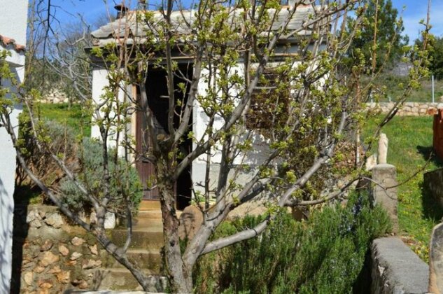 Apartmani Kata - Modric - Photo4