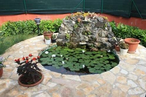 Apartments Villa Nikola - Photo3