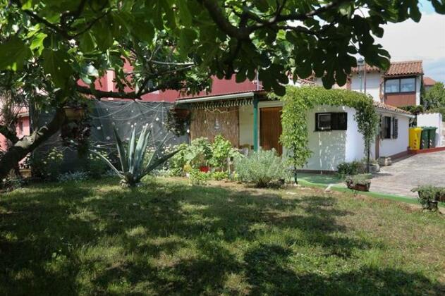 Garden Studio Rovinj - Photo5