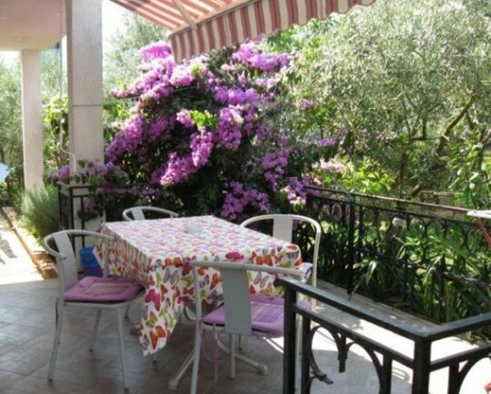 Nice room with private terrace in Rovinj 870-2 - Photo2