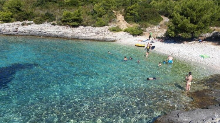 Go2Vis