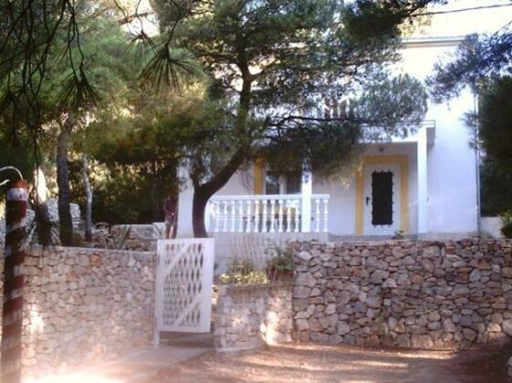 Villa Damir - Photo5