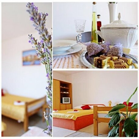 Apartments Loncar Seget Vranjica - Photo4