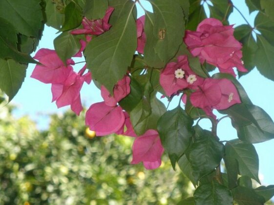 Jadran Seget Vranjica - Photo3