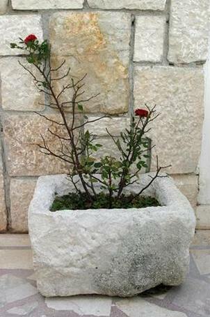 Villa Rustica Dalmatia - Photo4