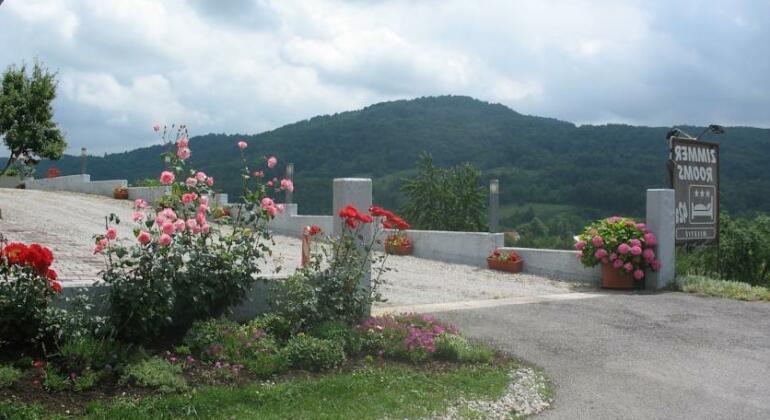House Miletic - Photo5