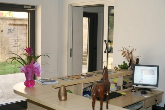 Blue Frog Bed and Breakfast - Photo3