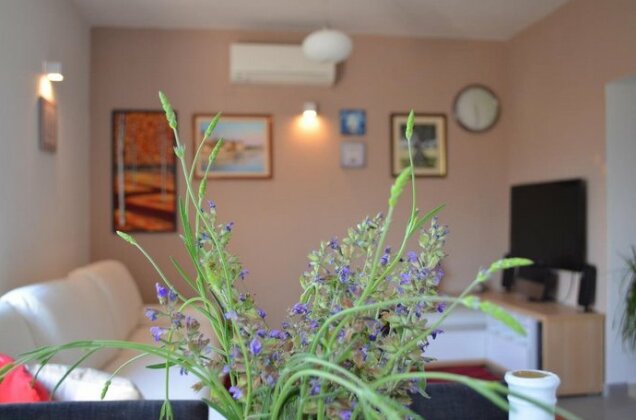 Holiday home Manuela Slatine - Photo4