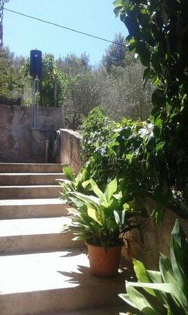 Vila Ancica - Photo2