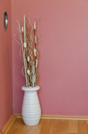 Guest House Izvor - Photo4
