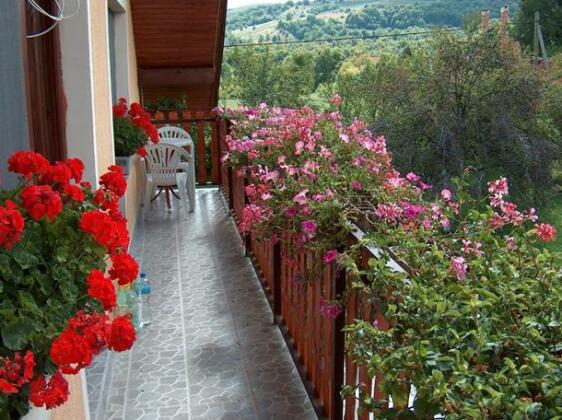 Apartments Ana Smoljanac - Photo2