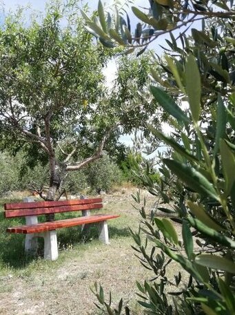 Apartment Lucija Solin - Photo5