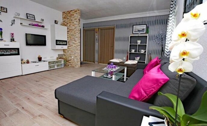 Luciano Solin - Photo2