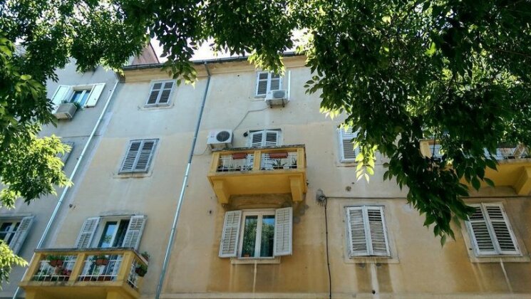 Apartment Blue Tree - Photo2