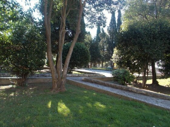 Apartment Darka - Photo2